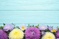 Flat lay composition with beautiful aster flowers on blue wooden table. Space for text Royalty Free Stock Photo