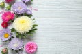 Flat lay composition with beautiful aster flowers on wooden table. Space for text Royalty Free Stock Photo