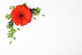 Flat lay composition with beautiful bright gerbera flower on white background