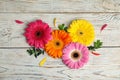 Flat lay composition with beautiful bright gerbera flowers on wooden Royalty Free Stock Photo