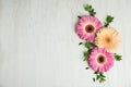 Flat lay composition with beautiful bright gerbera flowers on wooden background. Royalty Free Stock Photo