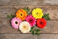 Flat lay composition with beautiful bright gerbera flowers on wooden background Royalty Free Stock Photo