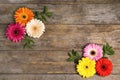 Flat lay composition with beautiful bright gerbera flowers on wooden background. Space for text Royalty Free Stock Photo