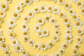 Flat lay composition with chamomiles on yellow background Royalty Free Stock Photo