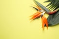 Flat lay composition with Bird of Paradise tropical flowers on yellow background Royalty Free Stock Photo