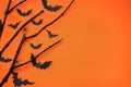 Flat lay composition with black branches, paper bats and spiders on orange background, space for text. Halloween celebration Royalty Free Stock Photo