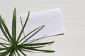 Flat lay composition with blank greeting cards, invitations mock up, envelopes and palm leave on white table background.