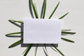 Flat lay composition with blank greeting cards, invitations mock up, envelopes and palm leave on white table background.