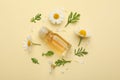 Flat lay composition with chamomile flowers and cosmetic bottle of essential oil