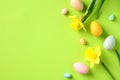 Flat lay composition with colorful Easter eggs and daffodil spring flowers on green