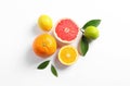 Flat lay composition with different citrus fruits