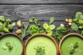 Flat lay composition with different fresh vegetable detox soups made of green peas, broccoli and spinach in dishes on table. Royalty Free Stock Photo