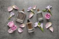 Flat lay composition of different perfume bottles, roses and freesia flowers on dark textured background Royalty Free Stock Photo