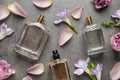 Flat lay composition of different perfume bottles, roses and freesia flowers on dark textured background Royalty Free Stock Photo
