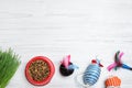 Flat lay composition with different pet toys and feeding bowl on white wooden background, space for text Royalty Free Stock Photo