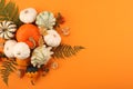 Flat lay composition with different ripe pumpkins on orange background. Space for text Royalty Free Stock Photo
