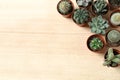 Flat lay composition with different succulent plants in pots on wooden table. Home decor