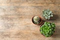 Flat lay composition with different succulent plants in pots on wooden table. Home decor