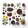 Flat lay composition with different types of ground coffee on white background Royalty Free Stock Photo