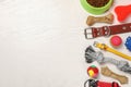Flat lay composition with dog collars, toys and food on white wooden table. Space for text Royalty Free Stock Photo