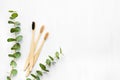 Flat lay composition with eco-friendly bamboo toothbrushes and eucaliptus branch on white background. Zero waste concept. Top view