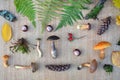 Flat lay composition of edible forest mushrooms, leaves, conkers and cones