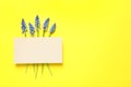 Flat lay composition with empty card and spring muscari Royalty Free Stock Photo