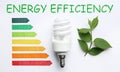 Flat lay composition with energy efficiency rating chart, fluorescent light bulb and leaves on background