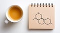 Flat lay composition featuring a coffee cup and a notepad with cortisol structure illustration, ideal for wellness and Royalty Free Stock Photo