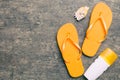 Flat lay composition with flip flops and seashell on colored background. Space for text top view Royalty Free Stock Photo