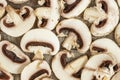 Flat lay composition with fresh champignon mushrooms close-up Royalty Free Stock Photo