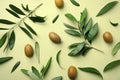 Flat lay composition with fresh green olive leaves, twigs and fruit