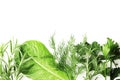 Flat lay composition of fresh herbs on a textured background Royalty Free Stock Photo