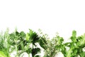 Flat lay composition of fresh herbs on a textured background Royalty Free Stock Photo