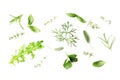 Flat lay composition of fresh herbs on a textured background Royalty Free Stock Photo