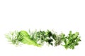 Flat lay composition of fresh herbs on a textured background Royalty Free Stock Photo