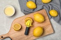 Flat lay composition with fresh lemons and plastic squeezer Royalty Free Stock Photo