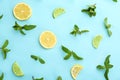 Flat lay composition with fresh mint leaves Royalty Free Stock Photo