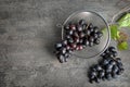 Flat lay composition with fresh ripe juicy grapes Royalty Free Stock Photo