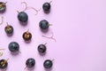 Flat lay composition with fresh ripe juicy grapes on lilac background Royalty Free Stock Photo