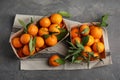 Flat lay composition with fresh ripe tangerines