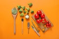 Flat lay composition with fresh vegetables, spices and sauce on color background Royalty Free Stock Photo