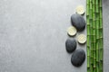 Flat lay composition with green bamboo stems on grey background Royalty Free Stock Photo