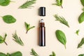 Flat lay composition with herbal essential oil Royalty Free Stock Photo