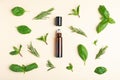 Flat lay composition with herbal essential oil Royalty Free Stock Photo