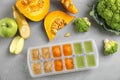 Flat lay composition with ice cube tray of baby food
