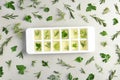 Flat lay composition with ice cube tray and different herbs