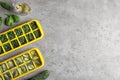 Flat lay composition with ice cube trays and space for text