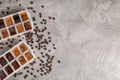 Flat lay composition with ice cubes in trays and coffee beans on grey background. Royalty Free Stock Photo
