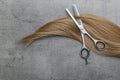 Flat lay composition with light brown hair and thinning scissors. Hairdresser service Royalty Free Stock Photo